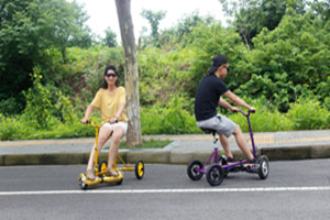 Carmilla, der weibliche Vampir: Eine Vampirgeschichte | (Deutsch)